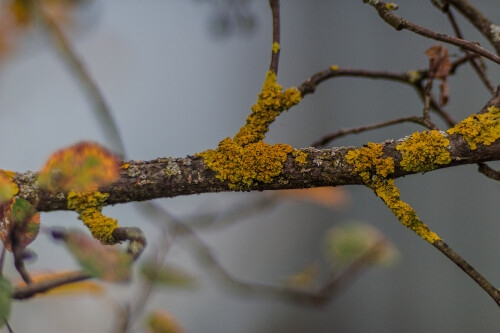 StickMacro.jpg